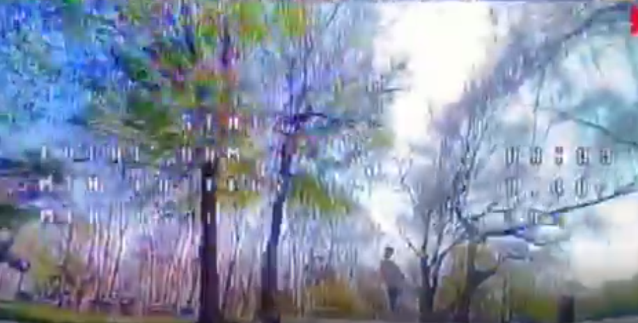 broken image
